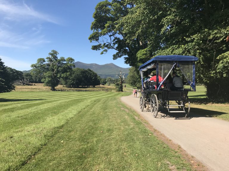 Killarney National Park jaunting car